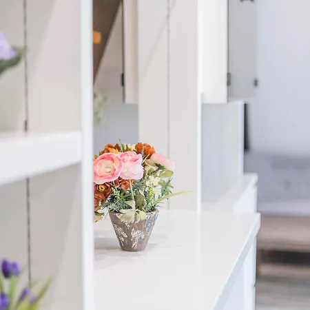 Ferienwohnpark Nurdachhaus Typ 8 Ndw 114 *